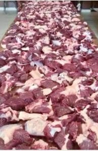 تنفيذا لمبادرة " عيد الخير"..الاتحاد العربي للتنمية الاجتماعية يوزع لحوم الأضاحي في 16 دولة عربية وأفريقية