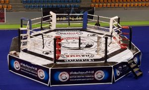 الكيك بوكسينج