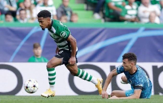 توتنهام، توتنهام وسبورتنج لشبونة،دوري ابطال اوروبا، اهداف توتنهام،Tottenham, Tottenham and Sporting Lisbon, Champions League, Tottenham goals