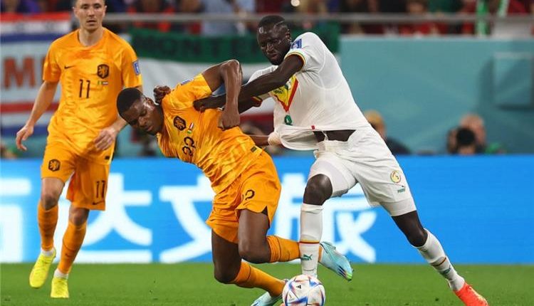 السنغال والاكوادورن كاس العالم، تشكيل السنغال