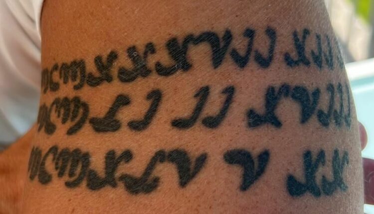 الكسندر مدرب بيراميدز