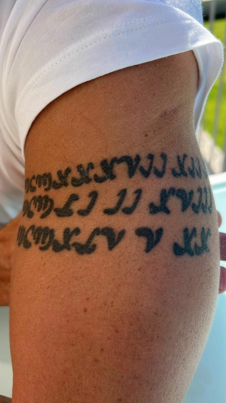 الكسندر مدرب بيراميدز