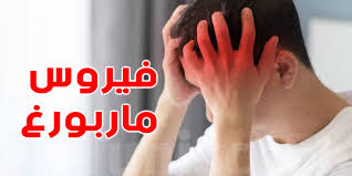 ما هو فيروس ماربورغ